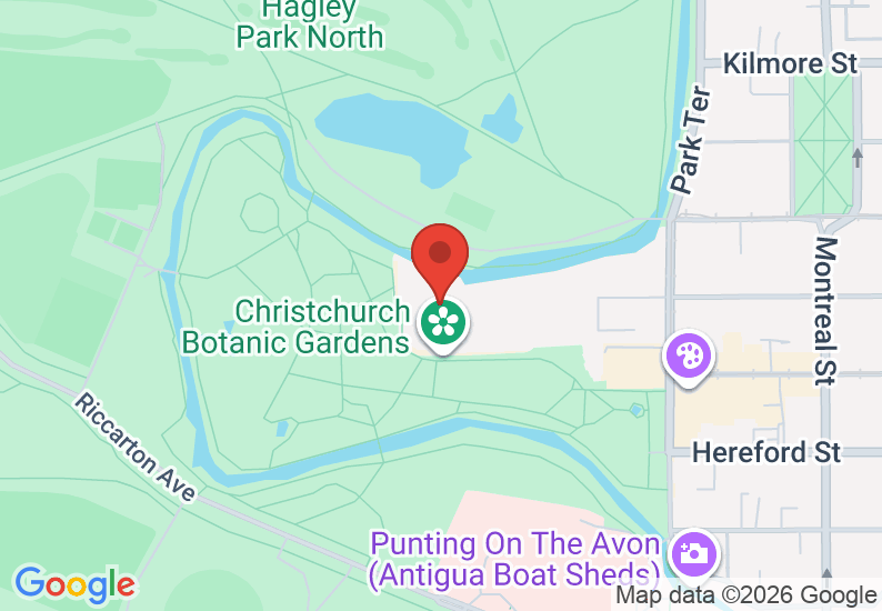 Google Map image