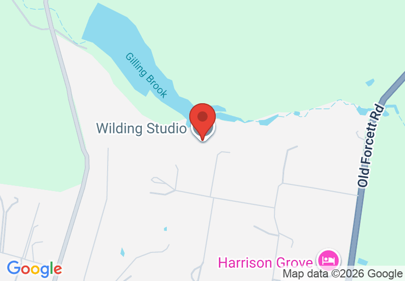 Google Map image