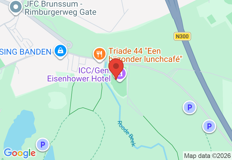 Google Map image