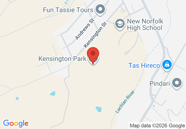 Google Map image