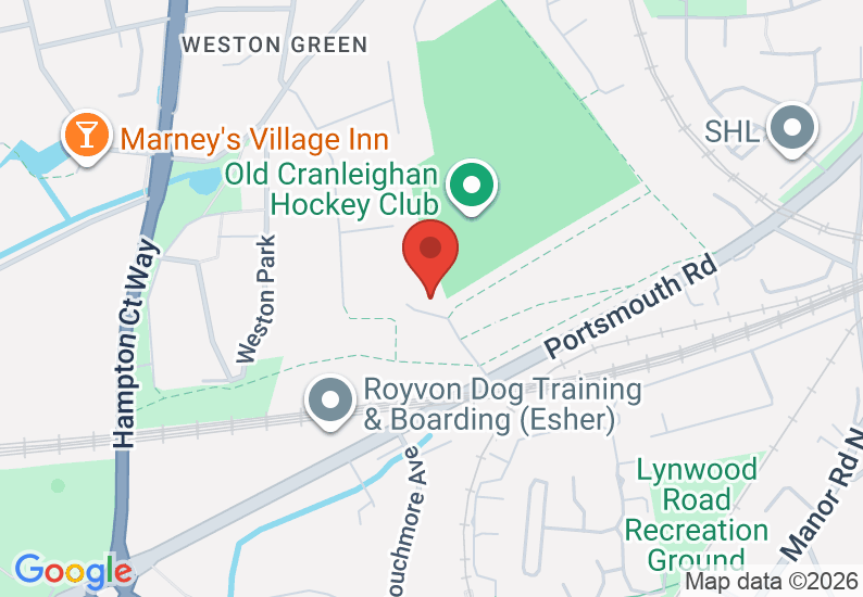 Google Map image