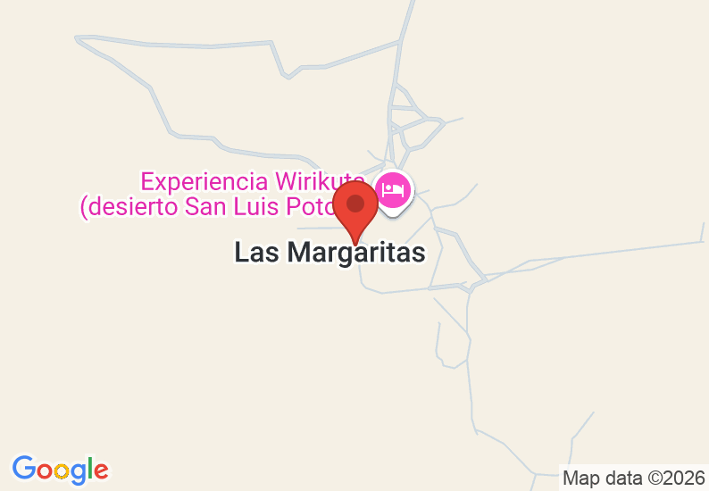 Google Map image