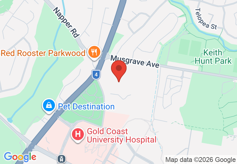 Google Map image