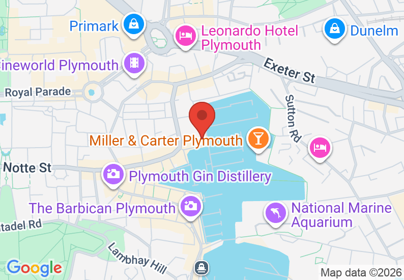 Google Map image