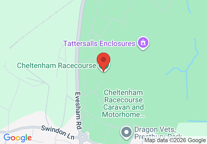 Google Map image
