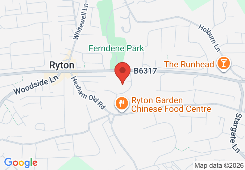 Google Map image