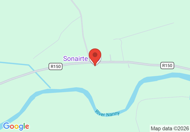 Google Map image