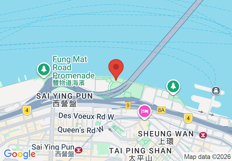 Google Map image