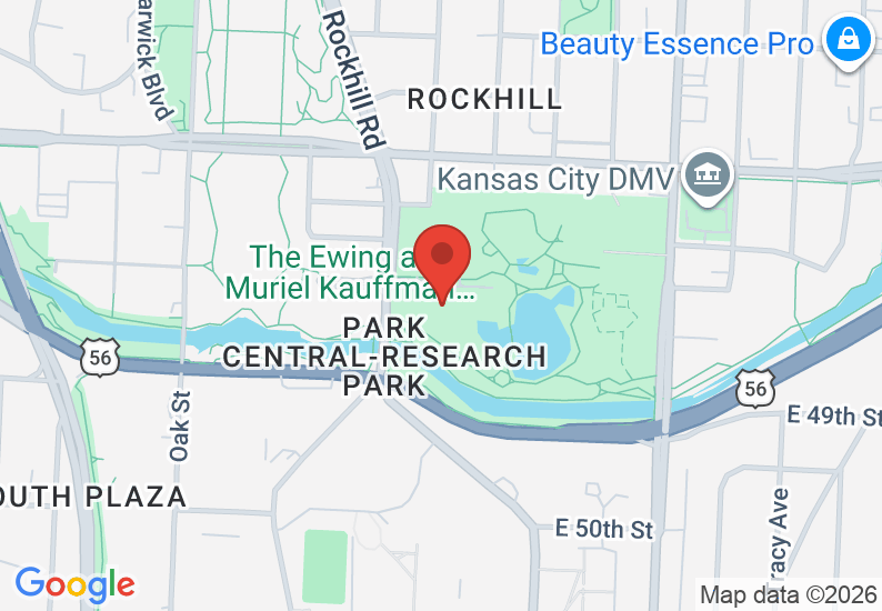 Google Map image
