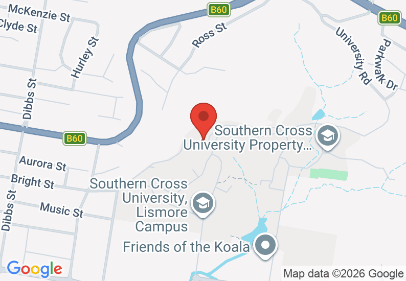 Google Map image