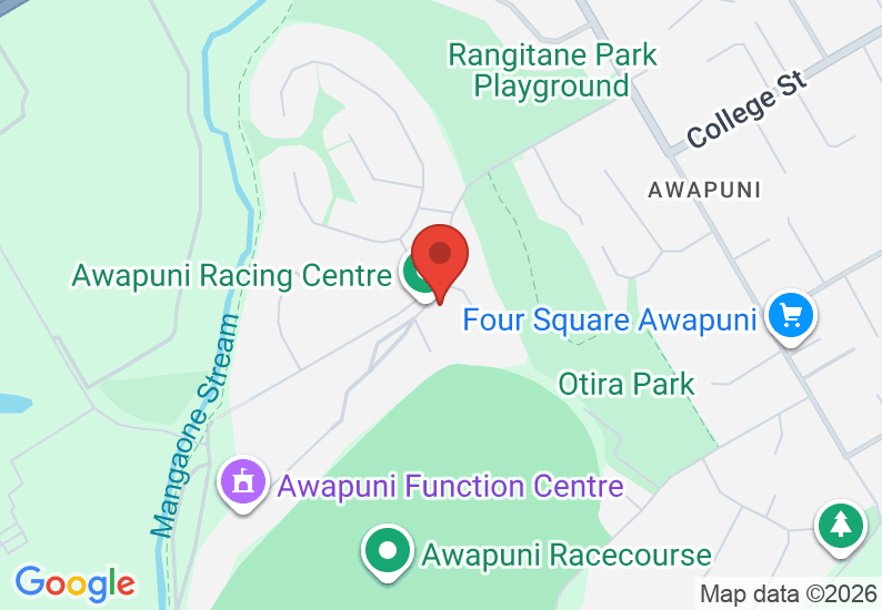 Google Map image