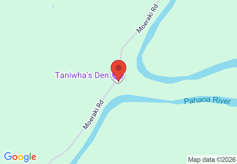 Google Map image