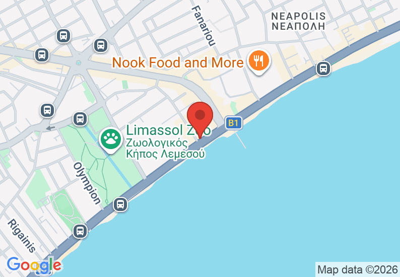 Google Map image