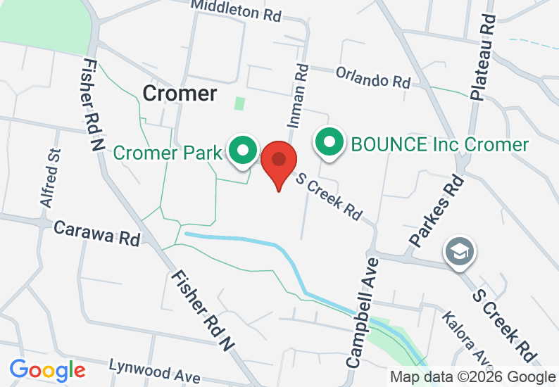 Google Map image