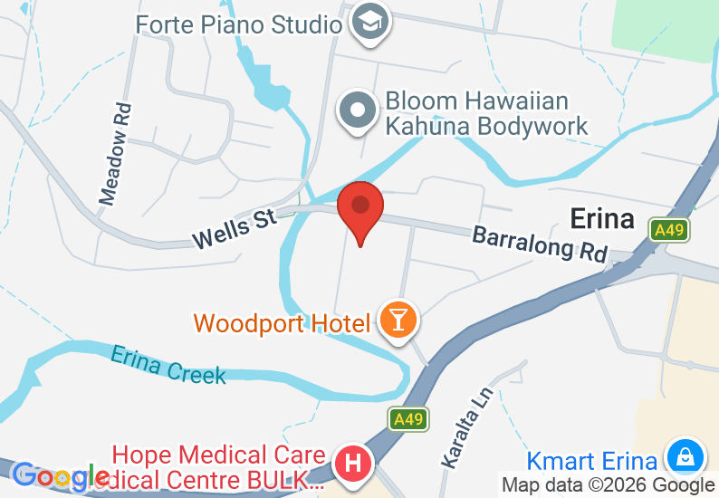 Google Map image