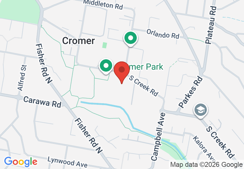 Google Map image