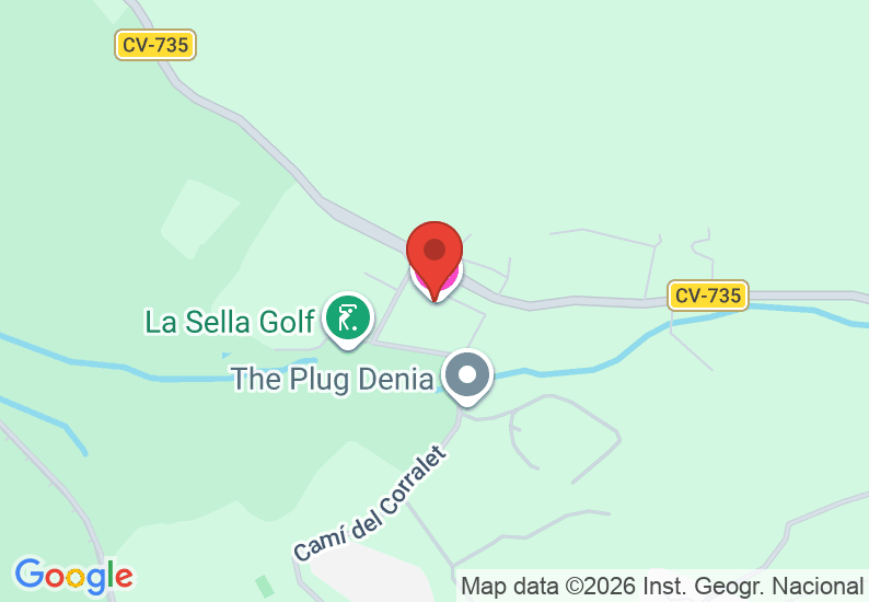 Google Map image