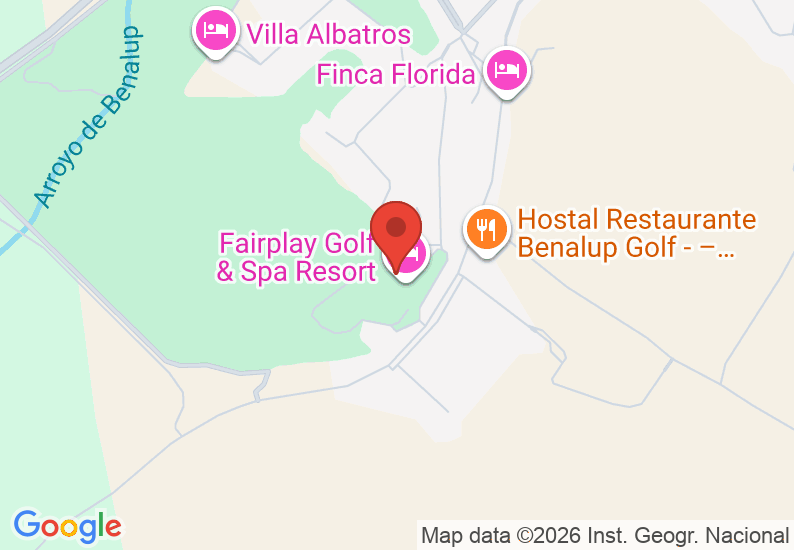 Google Map image