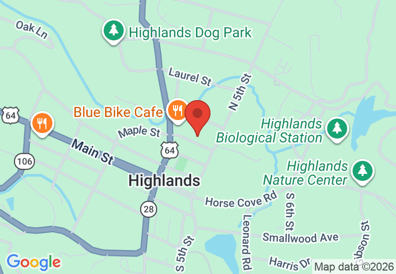 Google Map image