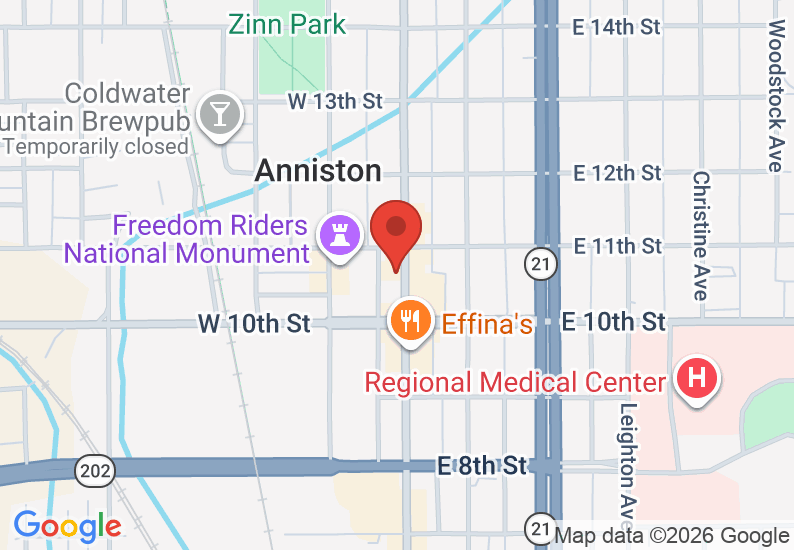 Google Map image