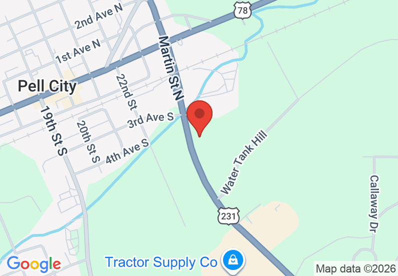 Google Map image