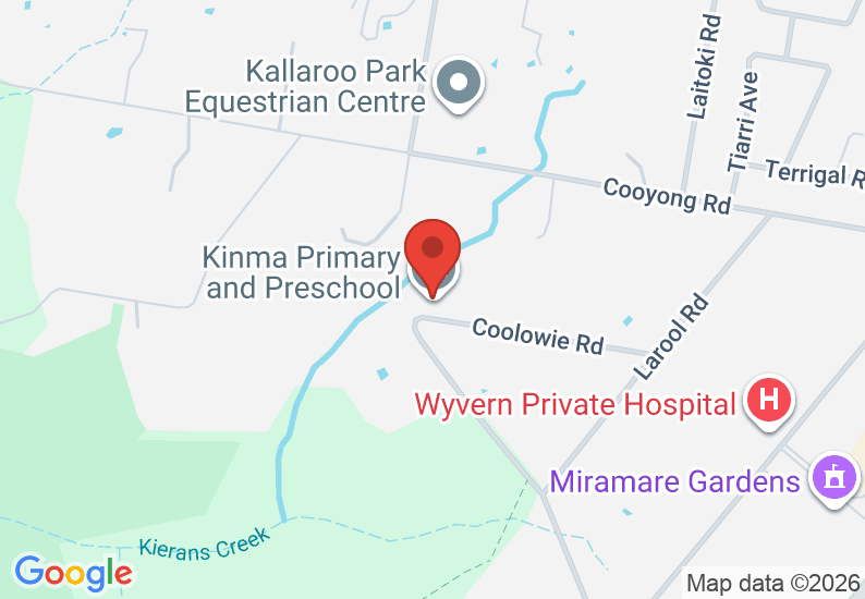 Google Map image