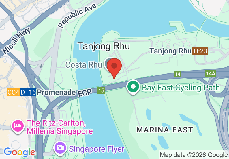 Google Map image