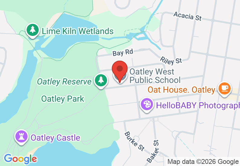 Google Map image