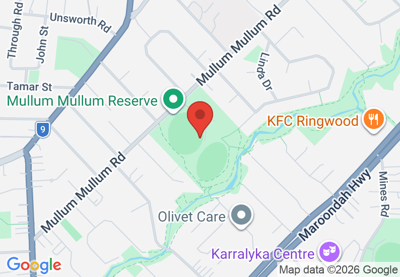 Google Map image