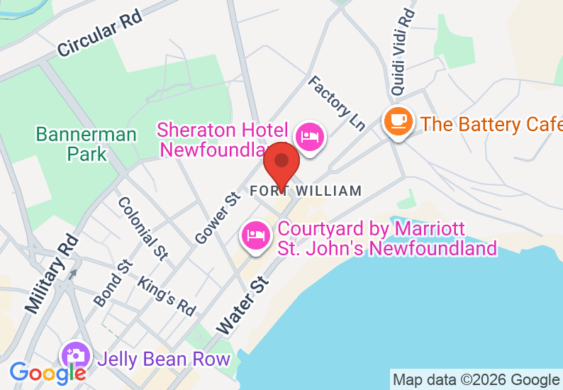 Google Map image