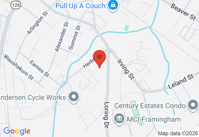 Google Map image