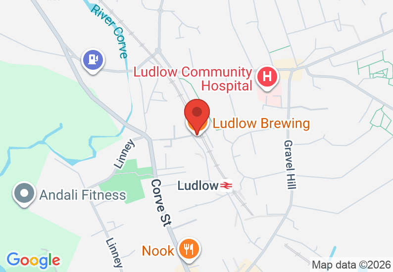 Google Map image