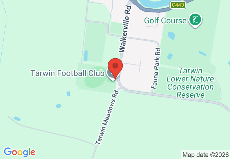Google Map image