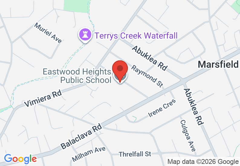 Google Map image