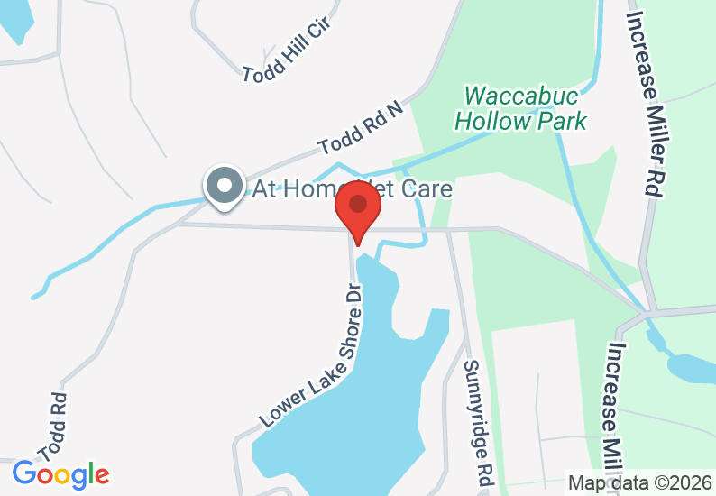 Google Map image