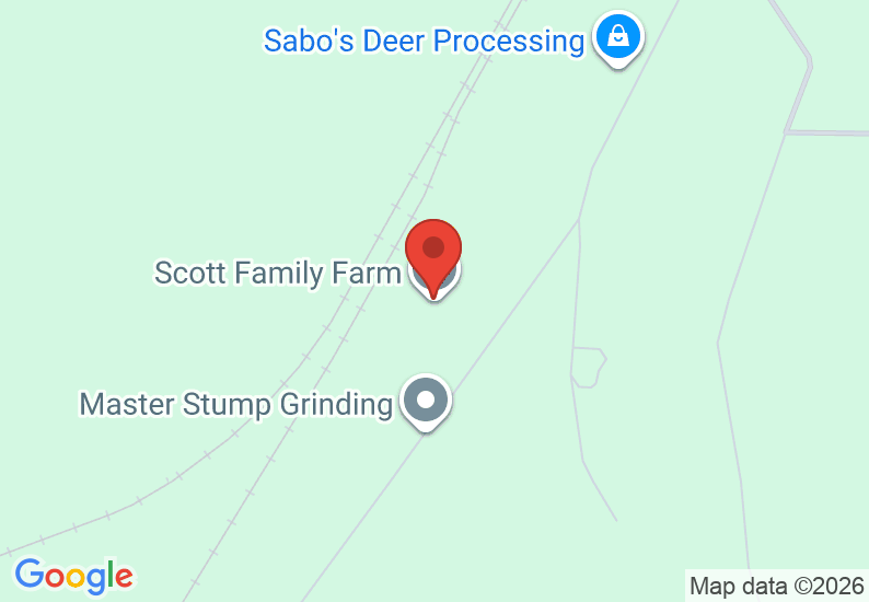 Google Map image