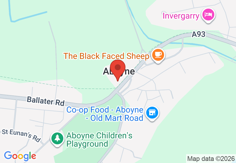 Google Map image