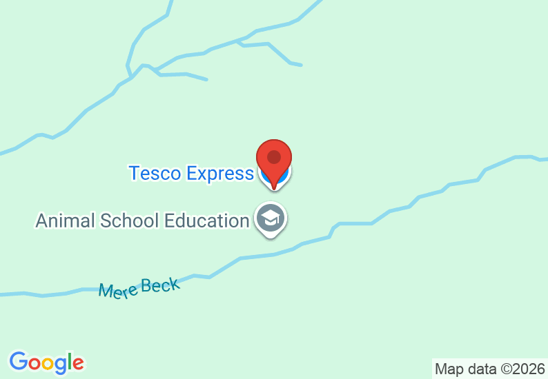 Google Map image