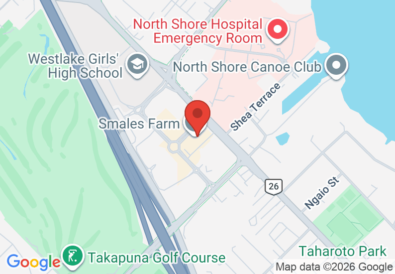 Google Map image