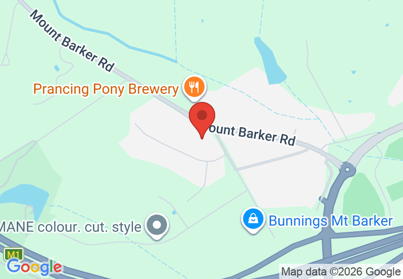 Google Map image