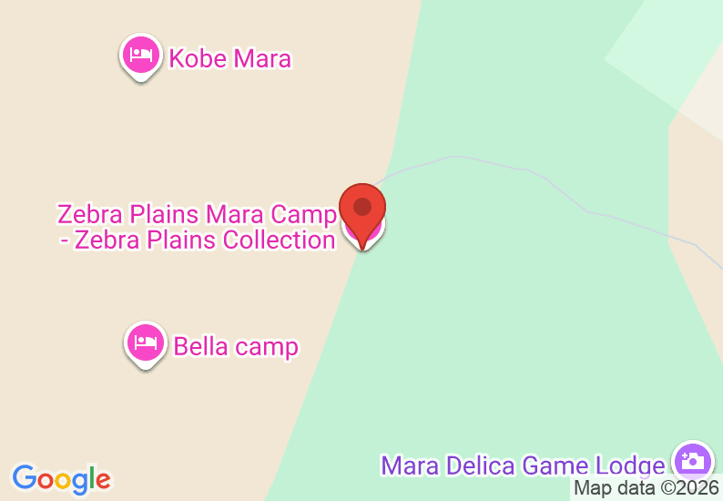 Google Map image