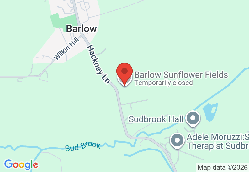 Google Map image