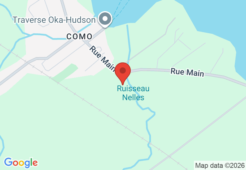 Google Map image