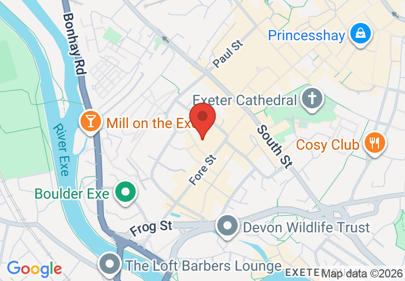 Google Map image