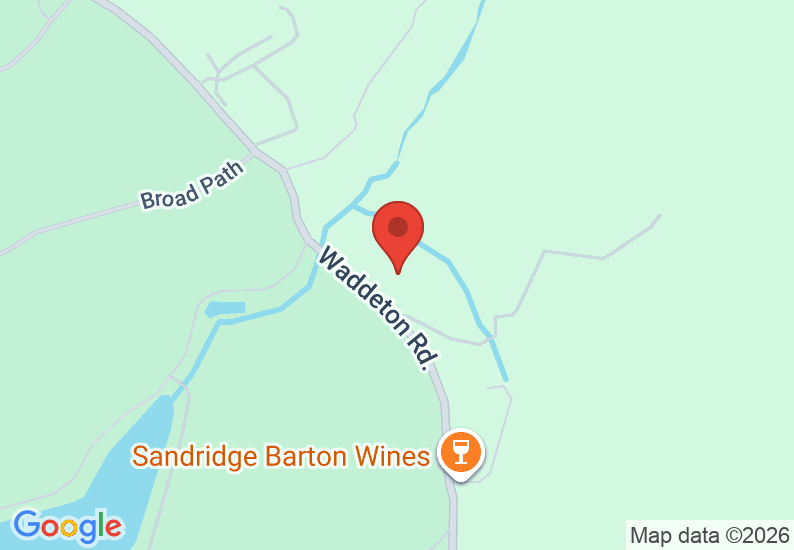 Google Map image