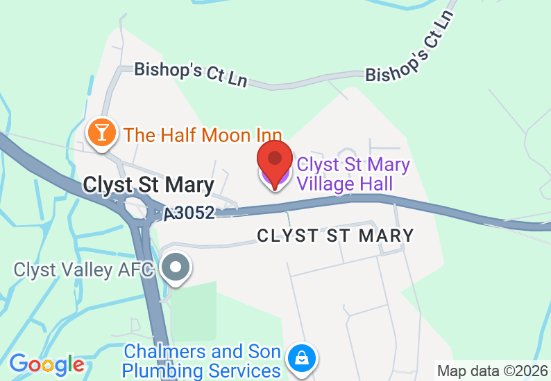 Google Map image