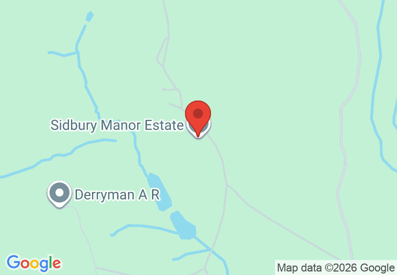 Google Map image