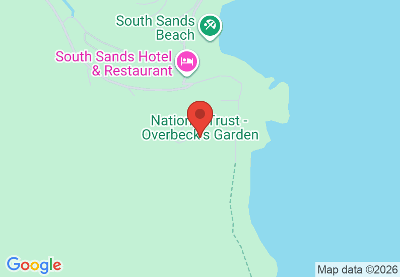 Google Map image