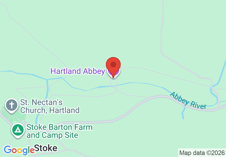 Google Map image