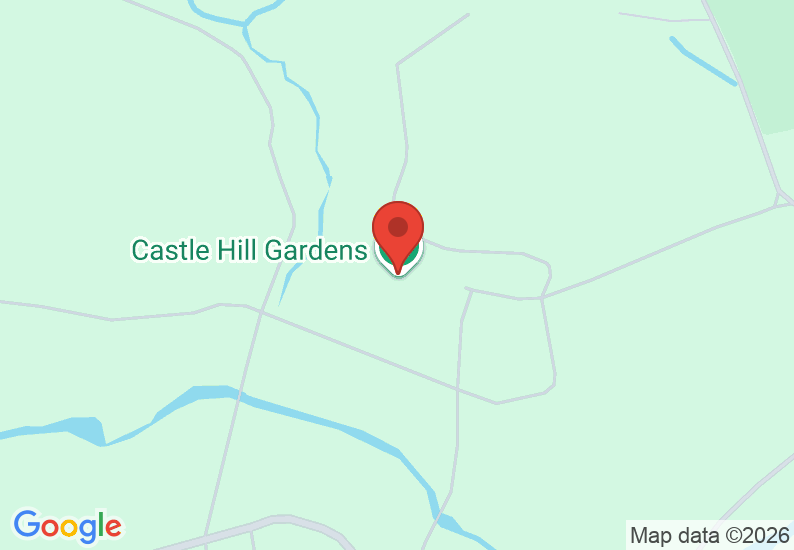 Google Map image
